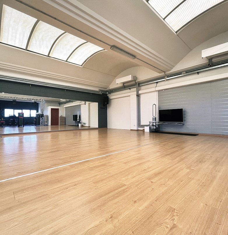 Sala Shakti - Immagine